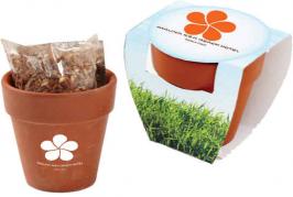 JK-1506
Seed Sensations Terra Cotta Pot