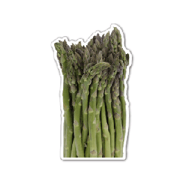 Asparagus Thin Stock Magnet
GM-MMC3021