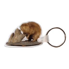 Beaver 1 Key Tag GM-KT18049