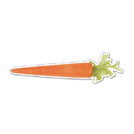 Carrot Thin Stock Magnet
GM-MMC3006