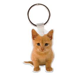 Kitten Key Tag GM-KT18296