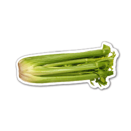 Celery Thin Stock Magnet
GM-MMB3031