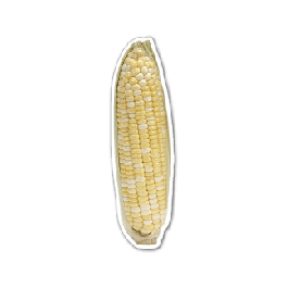 Ear of Corn Thin Stock Magnet
GM-MMB3036