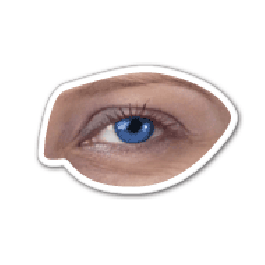 Eye Thin Stock Magnet
GM-MMA3094