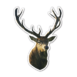 Reindeer Thin Stock Magnet
GM-MMF3515