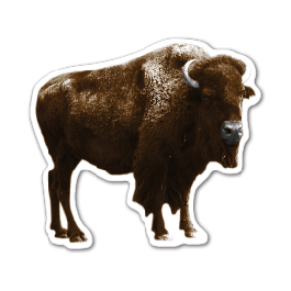 Buffalo Thin Stock Magnet
GM-MMD3516