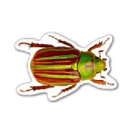 Bug Thin Stock Magnet
GM-MMA3517