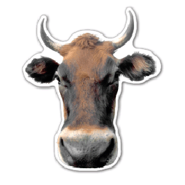 Bull\'s Head Thin Stock Magnet
GM-MMD3518