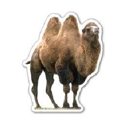 Camel Thin Stock Magnet
GM-MMC3520