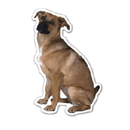 Dog 2 Thin Stock Magnet
GM-MMD3530