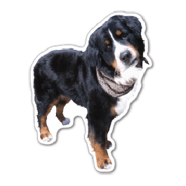 Dog 3 Thin Stock Magnet
GM-MME3532