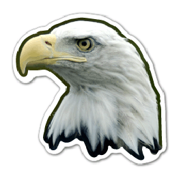 Eagle Head 2 Thin Stock Magnet GM-MMD3535