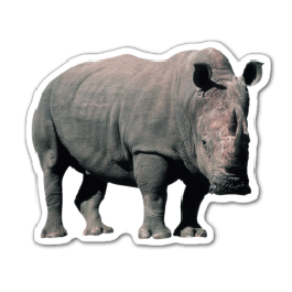 Rhino 3 Thin Stock Magnet
GM-MMD3538