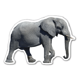 Elephant Thin Stock Magnet
GM-MMC3539