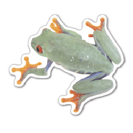 Frog 2 Thin Stock Magnet
GM-MMD3545
