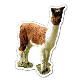 Llama Thin Stock Magnet
GM-MMD3551