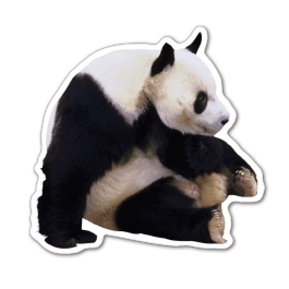 Panda Bear Thin Stock Magnet
GM-MMD3552