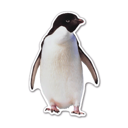 Penguin Thin Stock Magnet
GM-MMC3553