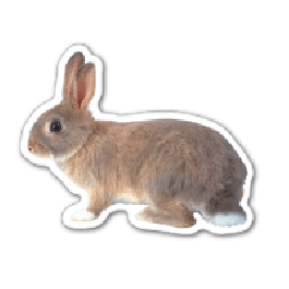 Rabbit 2 Thin Stock Magnet
GM-MMB3557