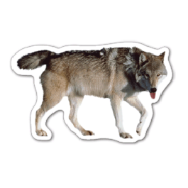 Wolf Thin Stock MagnetGM-MMC3570