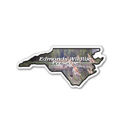 North Carolina Thin Stock Magnet
GM-MMB3273