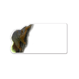 Squirrel Thin Stock Magnet
GM-MMD3477