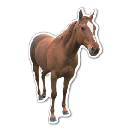 Horse Thin Stock Magnet
GM-MMD3479
