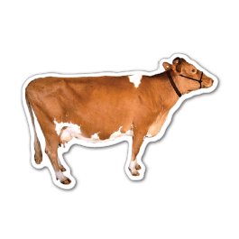 Cow 2 Thin Stock Magnet
GM-MMC34780