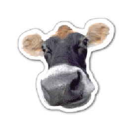 Cow Head Thin Stock Magnet
GM-MMB3481