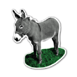 Donkey Thin Stock Magnet
GM-MMB3484