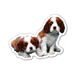 Puppies Thin Stock Magnet
GM-MMD3493