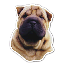 Dog 10 Thin Stock Magnet
GM-MMF3497