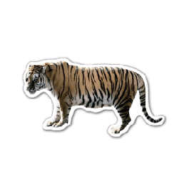 Tiger 2 Thin Stock Magnet
GM-MMB3502