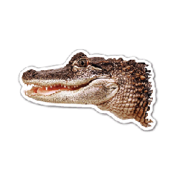 Crocodile Head Thin Stock Magnet
GM-MMD3506