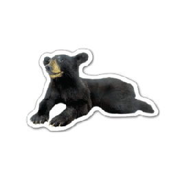 Bear Cub Thin Stock Magnet
GM-MMC3508