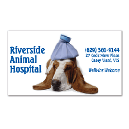 GM-BCM-VET Veterinary Office Business Card Magnet