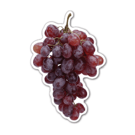 Grapes Thin Stock Magnet
GM-MMC3044