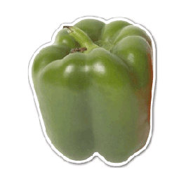 Green Pepper Thin Stock Magnet
GM-MME3045