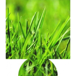 Grass Sublimated Hugger GM-HGFC-GRS
