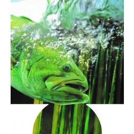 Large Mouth Bass Sublimated Hugger GM-HGFC-LMB