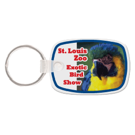 Oblong Key Tag GM-KT600