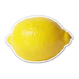 Lemon Thin Stock Magnet
GM-MMD3049
