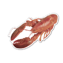 Lobster Thin Stock Magnet
GM-MME3051