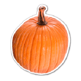 Pumpkin Thin Stock Magnet
GM-MMD3016