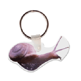 Snail Key Tag GM-KT18476