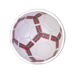 Soccer Ball Thin Stock Magnet
GM-MMC3166