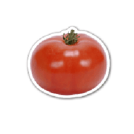 Tomato Thin Stock Magnet
GM-MMA3068
