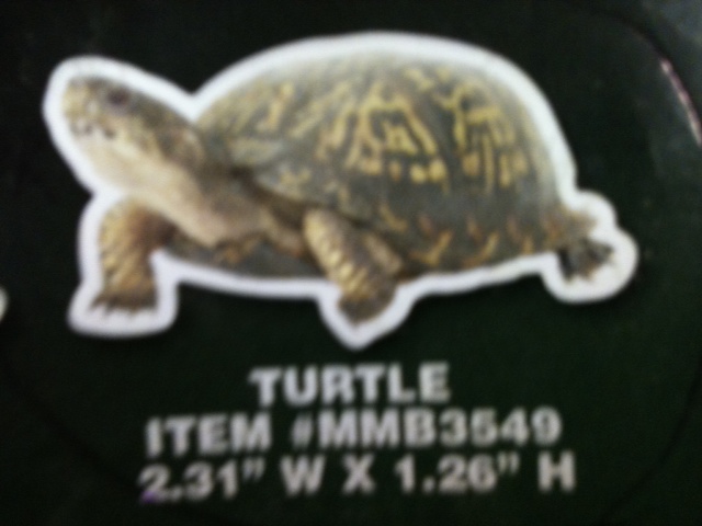 Turtle Thin Stock Magnet
GM-MMB3549