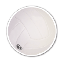 Volleyball Thin Stock Magnet
GM-MMB3171